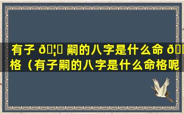有子 🦄 嗣的八字是什么命 🐎 格（有子嗣的八字是什么命格呢）